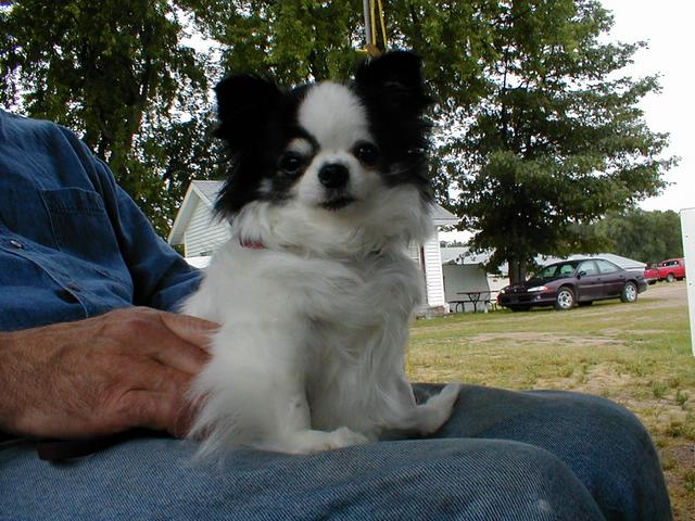 P7080004.JPG
