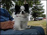 P7080004.JPG
