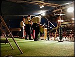 P7140035.JPG