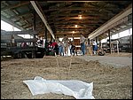 P7150013.JPG