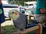 P1070004.JPG