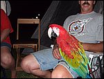 DSCF0302.JPG