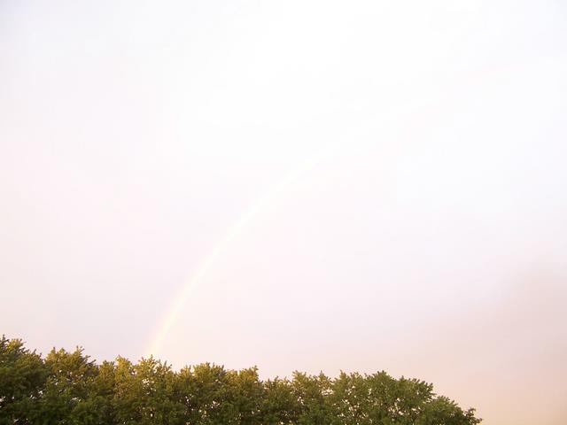 100_1474.JPG