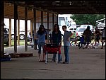 throw (12).JPG