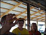 throw (20).JPG