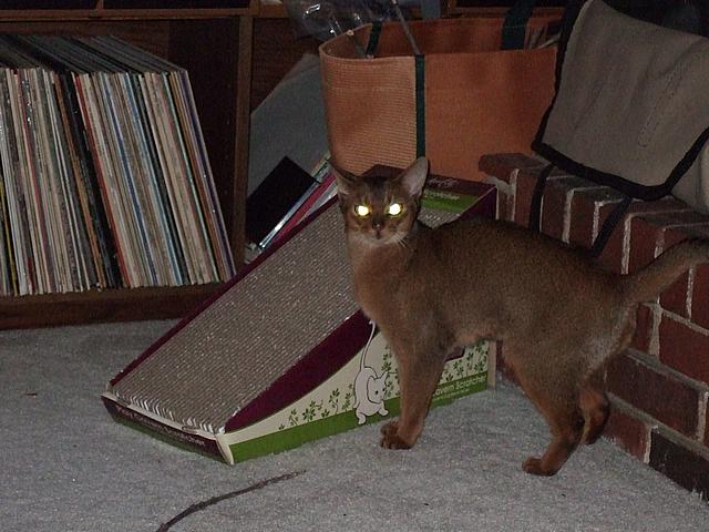 DSCF2489.JPG