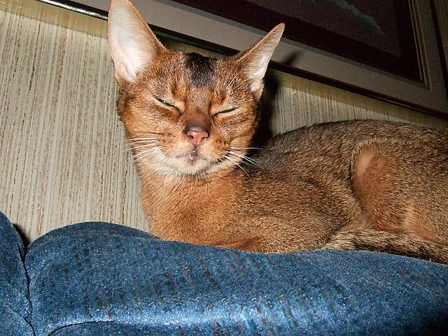 DSCF2503.JPG