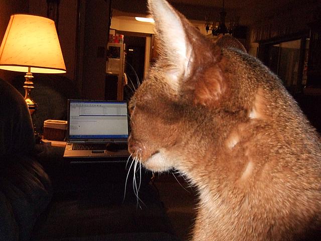 DSCF2504.JPG