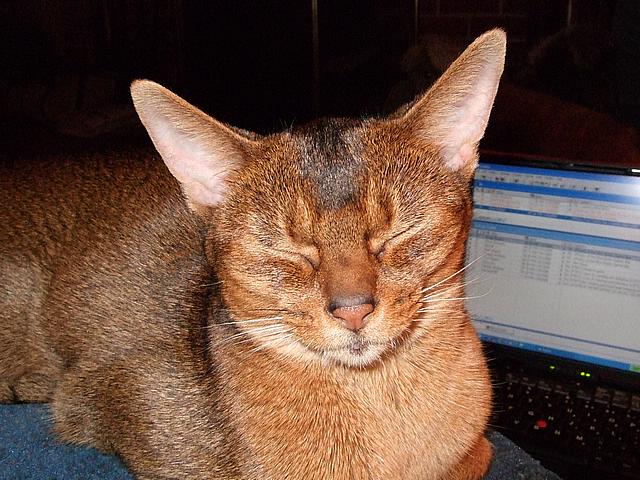 DSCF2512.JPG