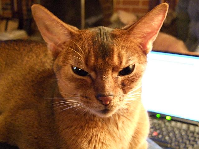 DSCF2513.JPG