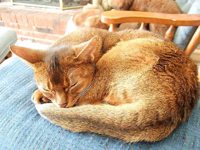 DSCF2521.JPG