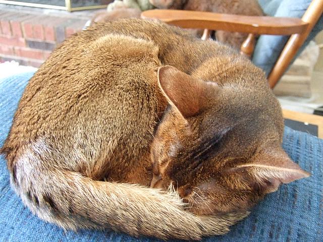 DSCF2522.JPG