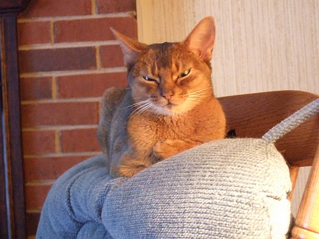 DSCF2524.JPG