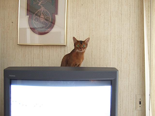DSCF2528.JPG