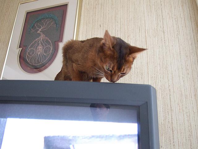 DSCF2530.JPG