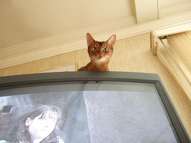 DSCF2531.JPG