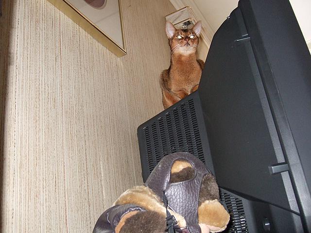 DSCF2532.JPG