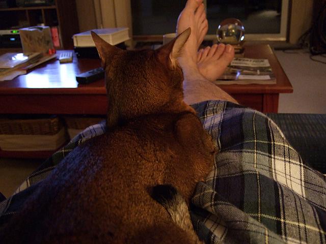 DSCF2538.JPG