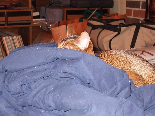DSCF2541.JPG