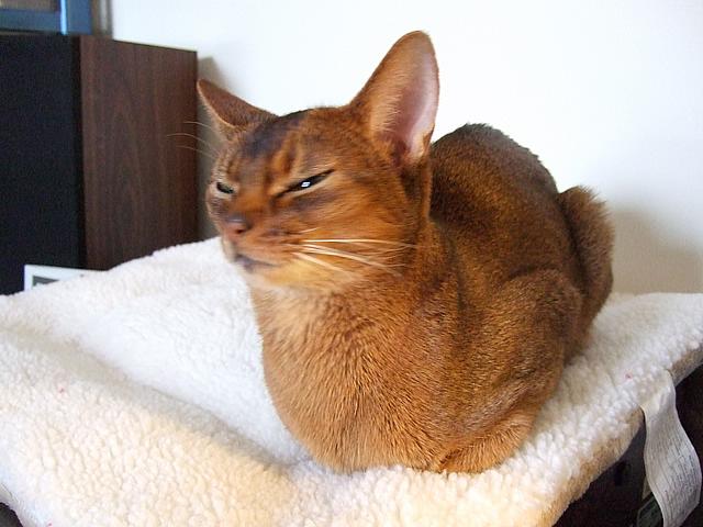 DSCF2584.JPG