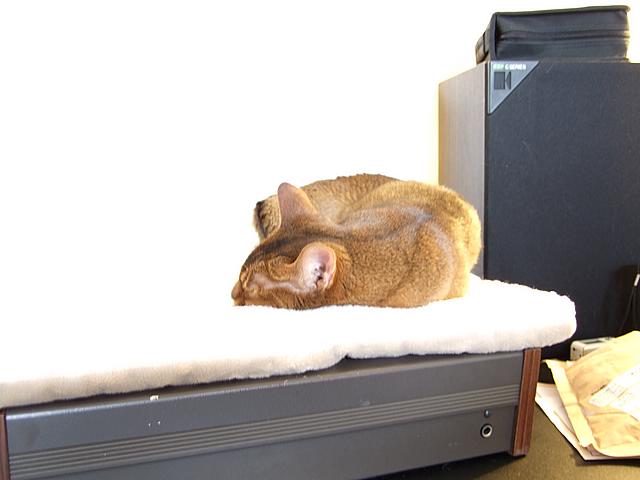 DSCF2588.JPG