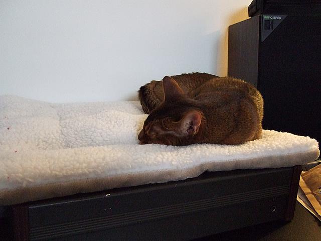 DSCF2589.JPG