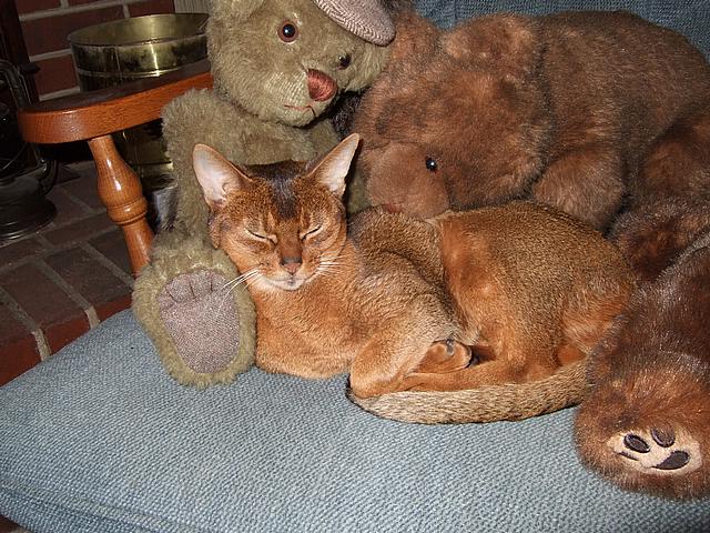 DSCF2598.JPG