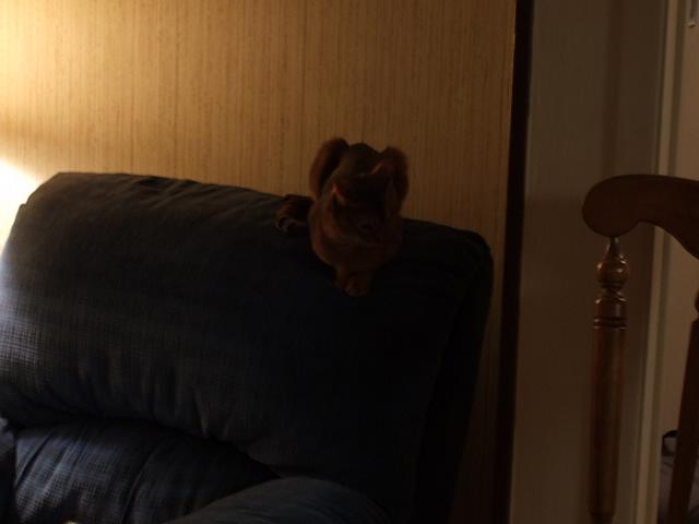 DSCF2612.JPG