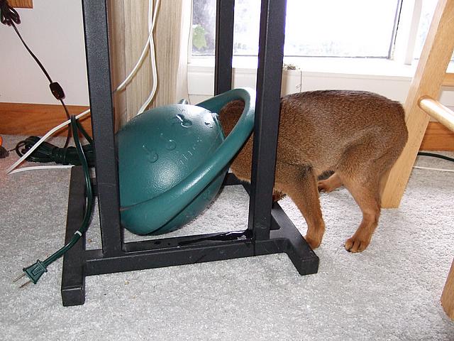 DSCF2631.JPG