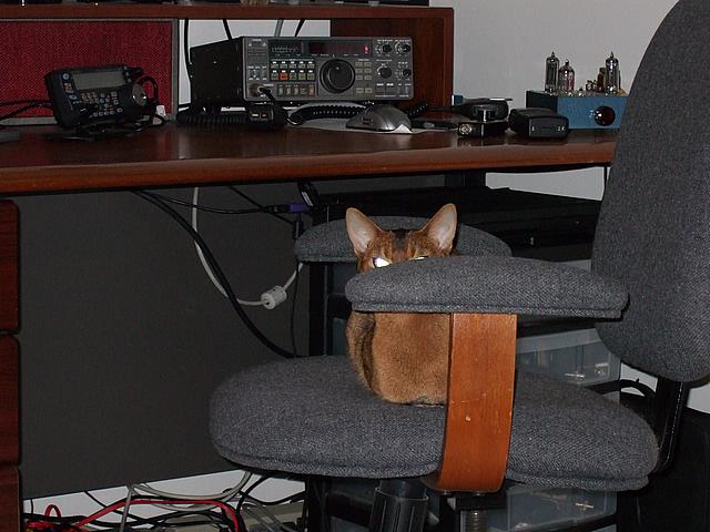 DSCF2632.JPG
