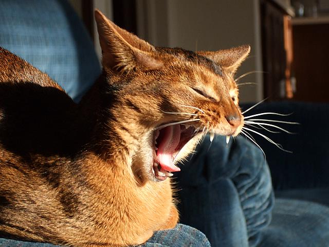 DSCF2638.JPG