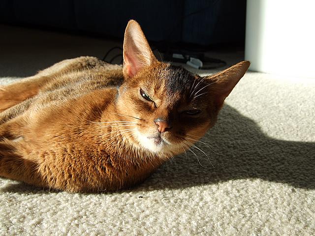 DSCF2642.JPG