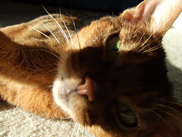 DSCF2643.JPG