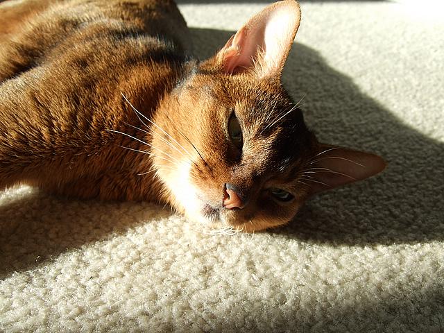 DSCF2644.JPG