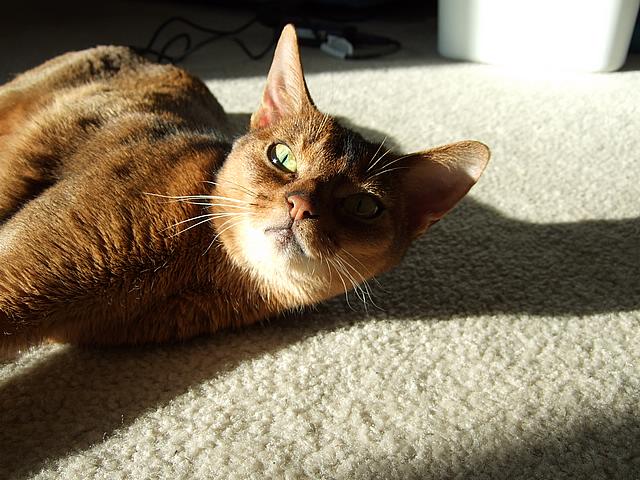 DSCF2645.JPG