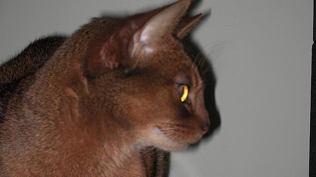SANY0050.JPG