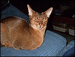 DSCF2484.JPG