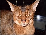 DSCF2508.JPG