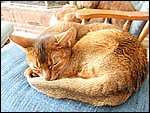 DSCF2521.JPG