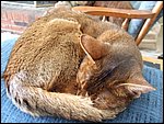 DSCF2522.JPG