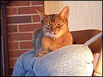 DSCF2524.JPG
