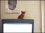 DSCF2528.JPG