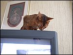 DSCF2530.JPG