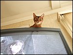 DSCF2531.JPG