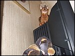 DSCF2532.JPG