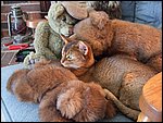 DSCF2533.JPG