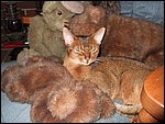 DSCF2534.JPG