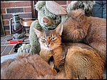 DSCF2537.JPG