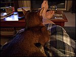 DSCF2538.JPG