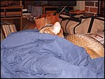 DSCF2541.JPG